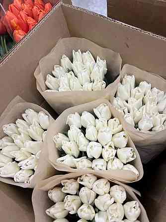 Тюльпаны Донецк Донецк