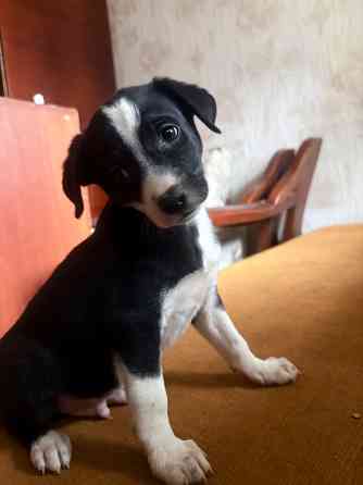 Ищу семью Донецк