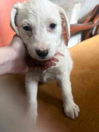 Ищу семью Донецк