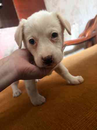 Ищу семью Донецк