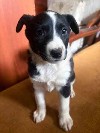 Ищу семью Донецк