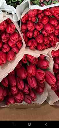 Тюльпаны к 8 марта Харцызск