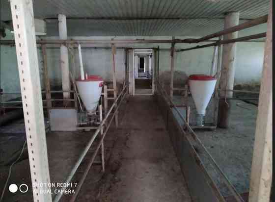 Ферма 5000 м.кв ,Харцызск Харцызск