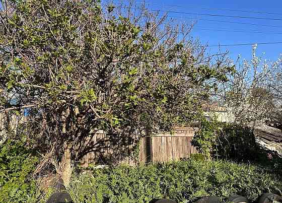 Продажа дома ориентир Порт-Артурная. Документы готовы! Донецк