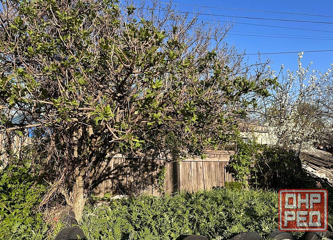 Продажа дома ориентир Порт-Артурная. Документы готовы! Донецк - изображение 5