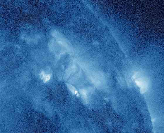 Белочка и "я", собираем мусор' Донецк