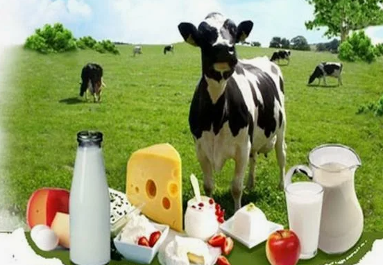 Фермерское хозяйство реализует свежее коровье молоко оптом. Донецк