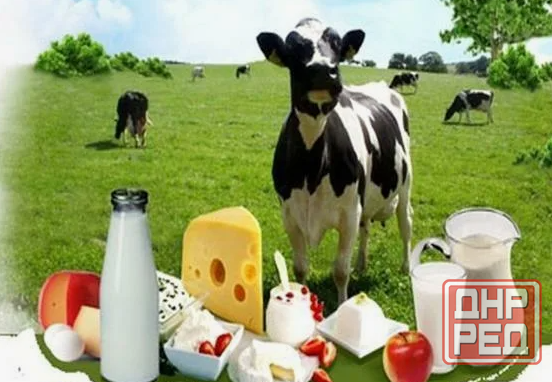 Фермерское хозяйство реализует свежее коровье молоко оптом. Донецк - изображение 1