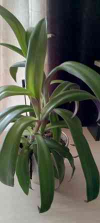 Продам Донецк