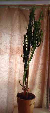 Продам Донецк