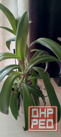 Продам Донецк - изображение 3