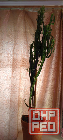 Продам Донецк - изображение 1