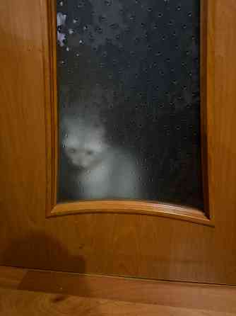 Дверь межкомнатная Донецк