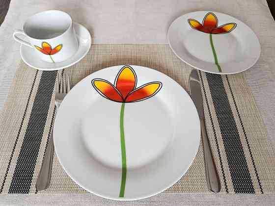 Набор посуды с ярким рисунком Донецк