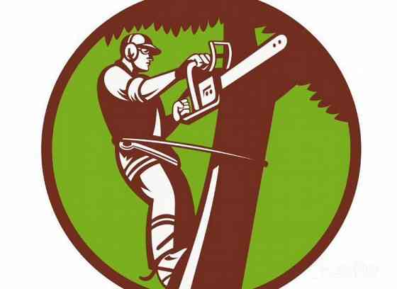 Спил деревье, веток, любая сложность Донецк