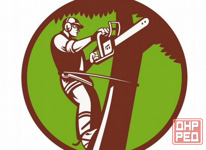 Спил деревье, веток, любая сложность Донецк - изображение 1