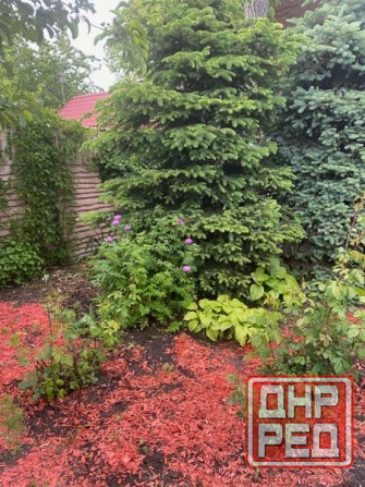 Дом 147 м2, Киевский р-н, ул. Экономическая, 12,5 млн руб Донецк - изображение 7