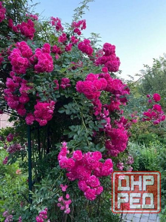 Дом 147 м2, Киевский р-н, ул. Экономическая, 12,5 млн руб Донецк - изображение 8