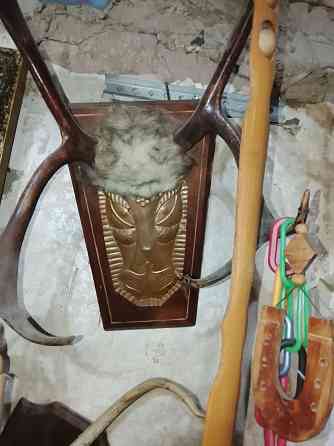 Рога оленя Донецк