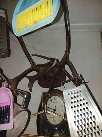 Рога оленя Донецк