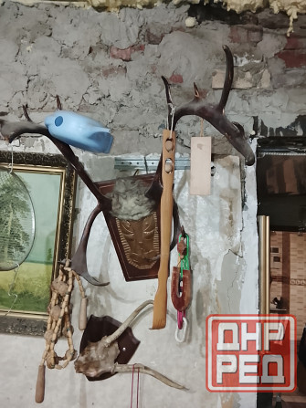 Рога оленя Донецк - изображение 4