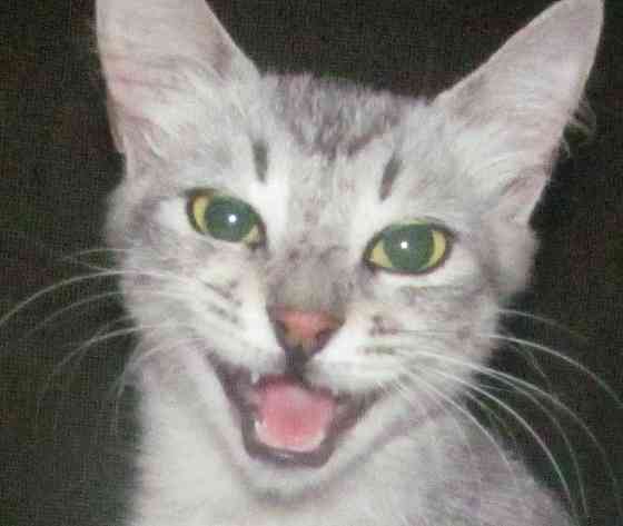 Кто они? Совсем не так считают Донецк