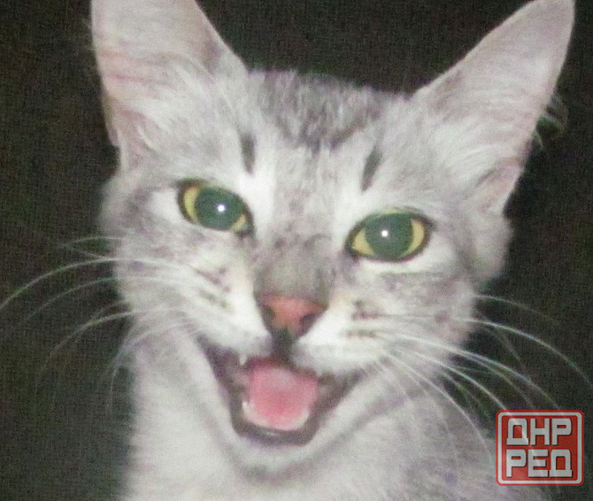 Кто они? Совсем не так считают Донецк - изображение 1