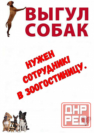Требуется Выгулщик собак Донецк - изображение 1