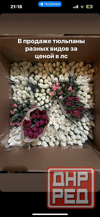 Тюльпаны на 8 марта Донецк - изображение 1