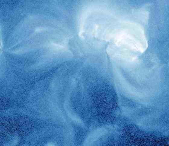 Елена Симонян, не ела Спагети Донецк