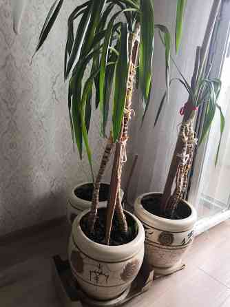 Горшок для цветов с поддоном и дренажным отверстием Донецк