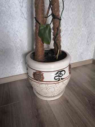 Горшок для цветов с поддоном и дренажным отверстием Донецк