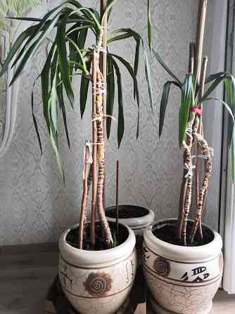 Горшок для цветов с поддоном и дренажным отверстием Донецк