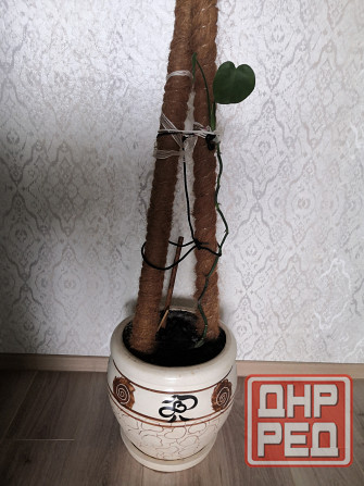 Горшок для цветов с поддоном и дренажным отверстием Донецк - изображение 4