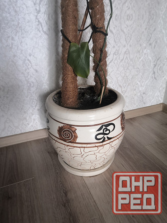 Горшок для цветов с поддоном и дренажным отверстием Донецк - изображение 3