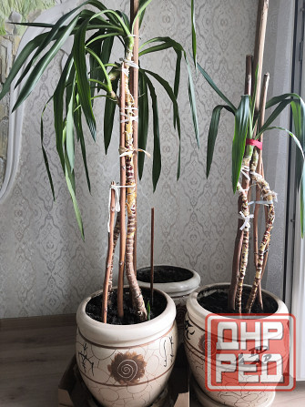 Горшок для цветов с поддоном и дренажным отверстием Донецк - изображение 5