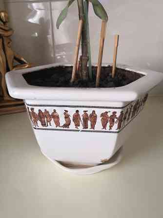 Керамические горшки среднего размера Донецк