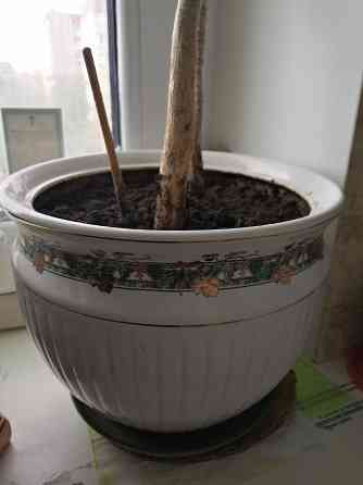 Керамические горшки среднего размера Донецк