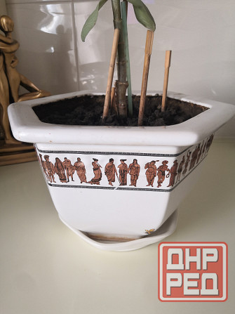 Керамические горшки среднего размера Донецк - изображение 2