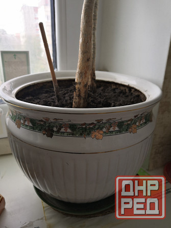 Керамические горшки среднего размера Донецк - изображение 3