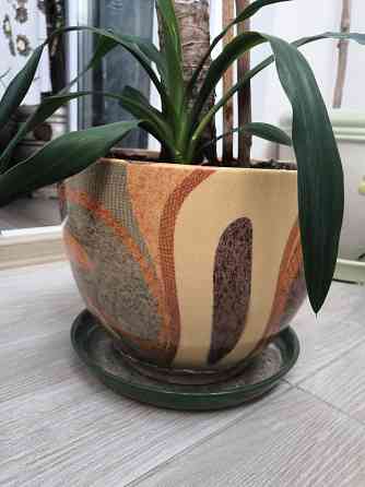 Керамические горшки оригинальные Донецк