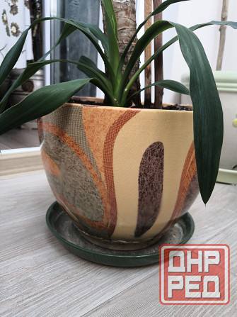 Керамические горшки оригинальные Донецк - изображение 3