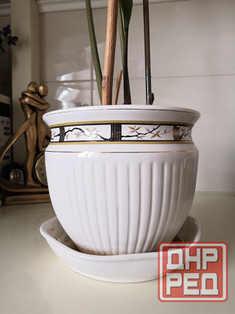 Керамические горшки оригинальные Донецк - изображение 2