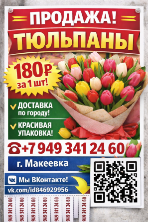 Тюльпан свежие Макеевка