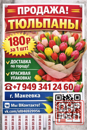 Тюльпан свежие Макеевка - изображение 1