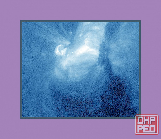 Монна Лиза правят "Ледоколы" Донецк - изображение 1