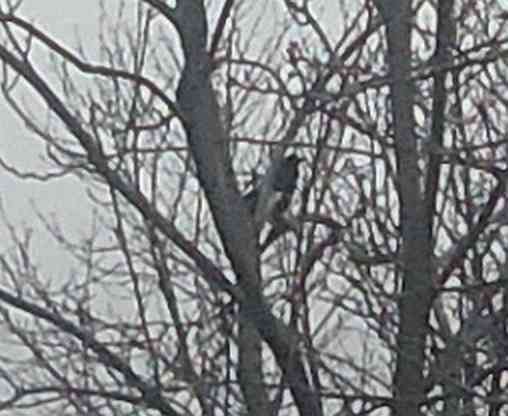 Доктор едет медет, прилете Уф Донецк