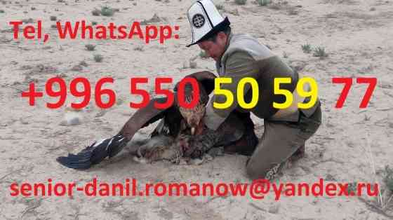 Гид, водитель, туры в Кыргызстане, туризм, путешествия, горы, трэки в Киргизии Москва