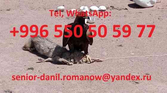 Guide, chauffeur au Kyrgyzstan, tourism, voyages, excursions, balades aux montagnes Москва