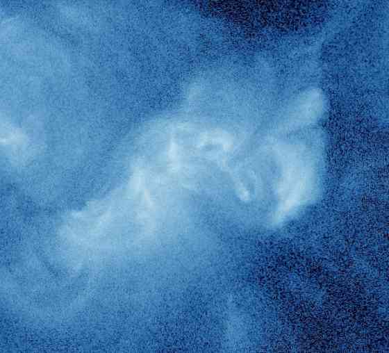 Один "длинноногий" господин Донецк